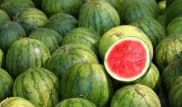 今日吃瓜官网 全球更新,今日吃瓜官网最新资讯大盘点”