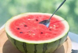 吃瓜网官网免费观看,热门剧集一网打尽！